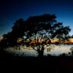 Meet your Posher, Yi